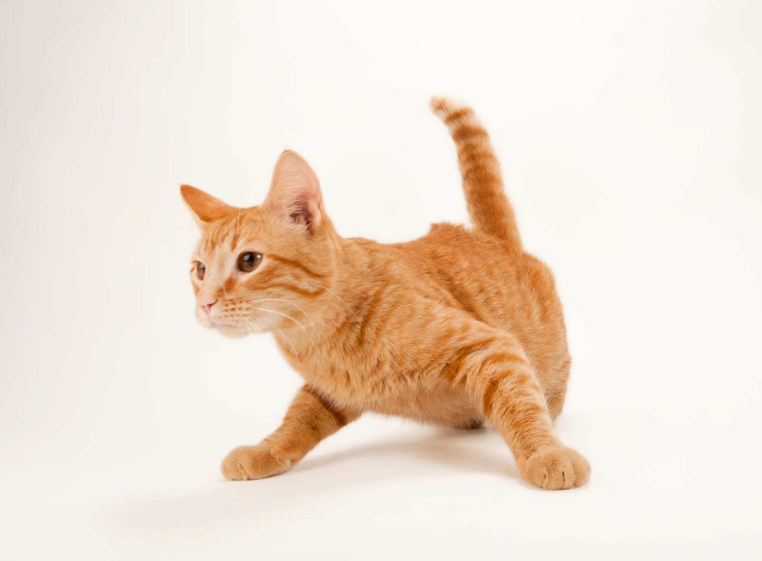 public_test_post